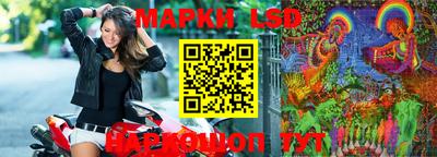прущие грибы Сланцы