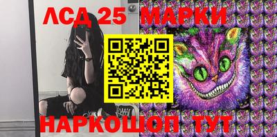 прущие грибы Сланцы