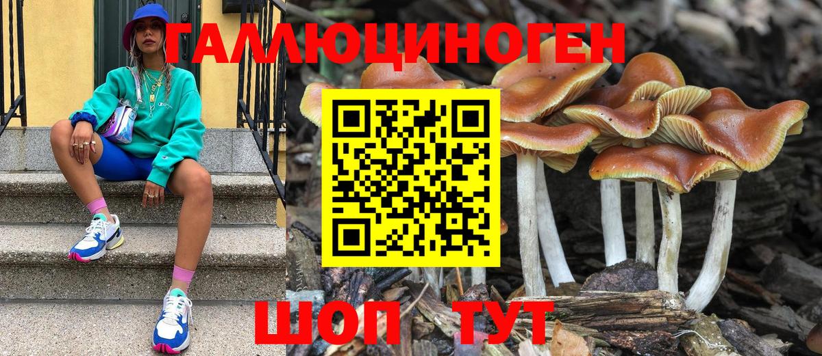 Новосибирск  Псилоцибиновые грибы MAGIC MUSHROOMS  Галлюциногенные грибы ЛСД  Вход с VPN 